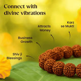 5 Mukhi Rudraksha Bracelet | LAB TESTED