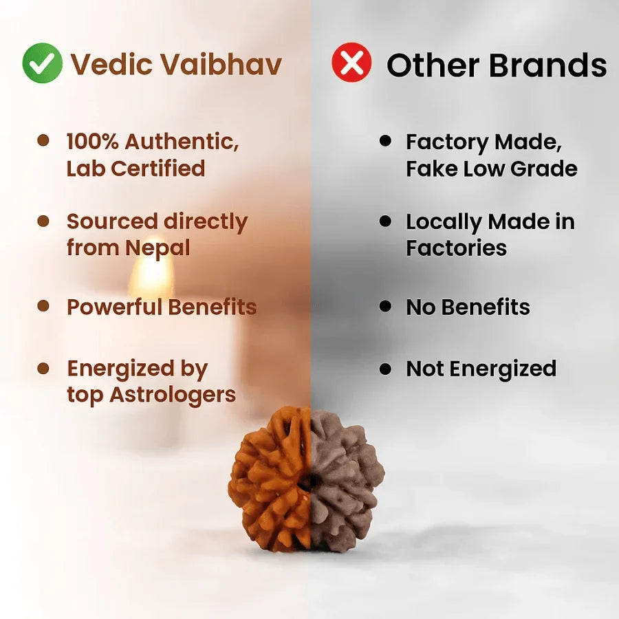 5 Mukhi Rudraksha Bracelet | LAB TESTED