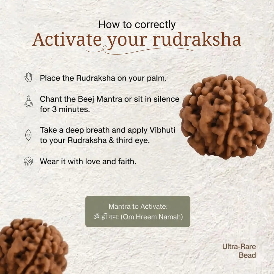 1 Mukhi Rudraksha |Nepal Origin | Lab Certified