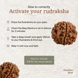 1 Mukhi Rudraksha |Nepal Origin | Lab Certified