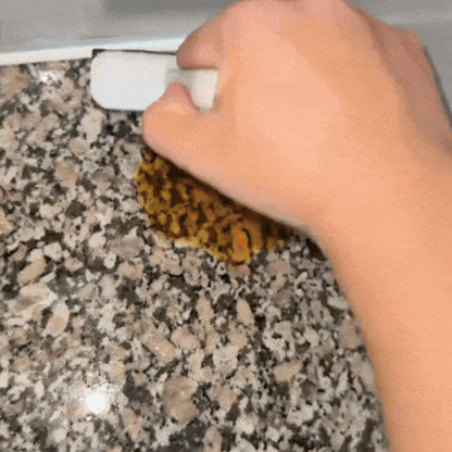 QuickShine™ – Folding Mop | Easy Press Drain | Effortless Daily Cleaning