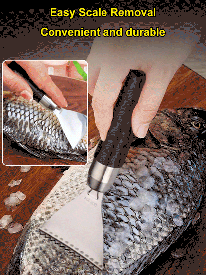 Stainless Steel Fish Scraper