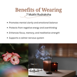 7 Mukhi Rudraksha | LAB TESTED