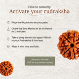 7 Mukhi Rudraksha | LAB TESTED