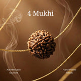 4 Mukhi Rudraksha | Lab Certified