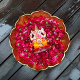 6INCH Vibhave Eco-Friendly Ganpati | Plant-A-Ganesha