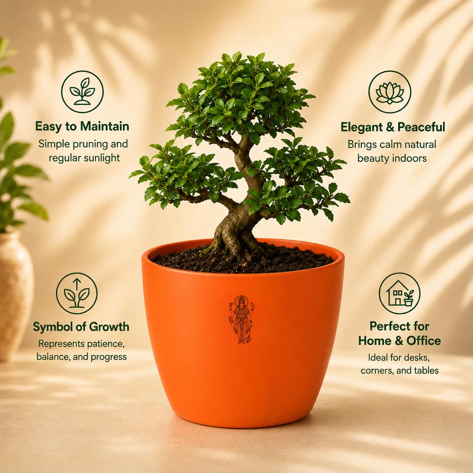 Bonsai