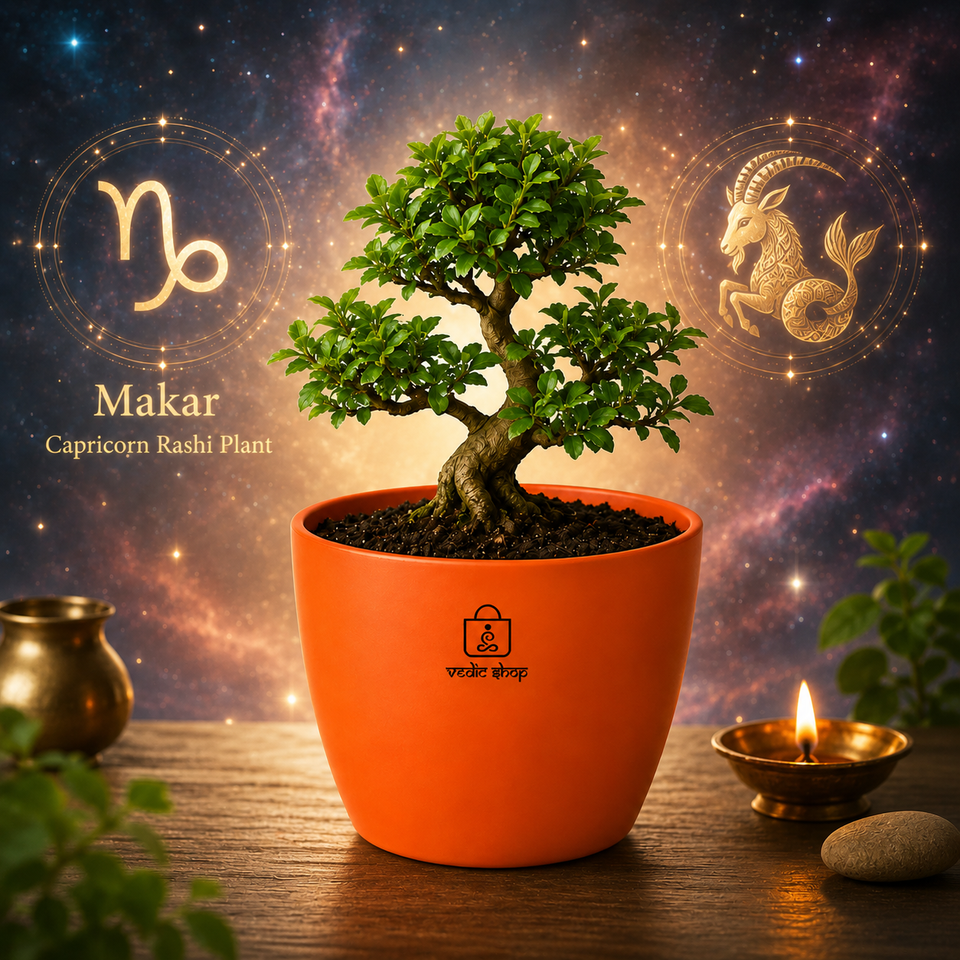 Bonsai