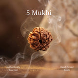 Karungali Mala, Karungali Bracelet & 5 Mukhi Rudraksha Bracelet Combo