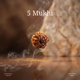 Karungali Mala, Karungali Bracelet & 5 Mukhi Rudraksha Bracelet Combo