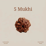 Karungali Mala, Karungali Bracelet & 5 Mukhi Rudraksha Bracelet Combo