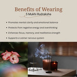 5 Mukhi Rudraksha | Lab Certified