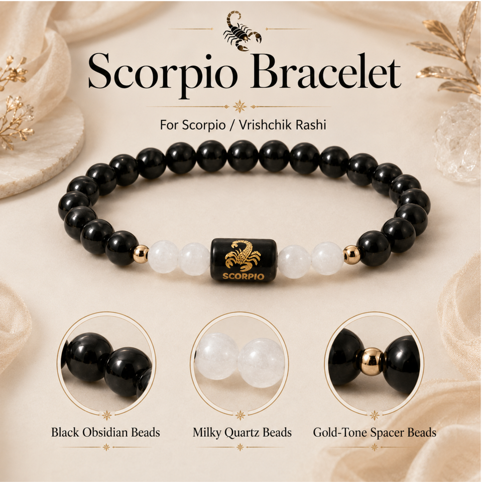 Scorpio Fortune Combo – Aloe Vera Plant & Zodiac Bracelet