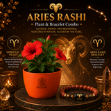 Aries Victory Combo – Hibiscus Plant & Zodiac Bracelet