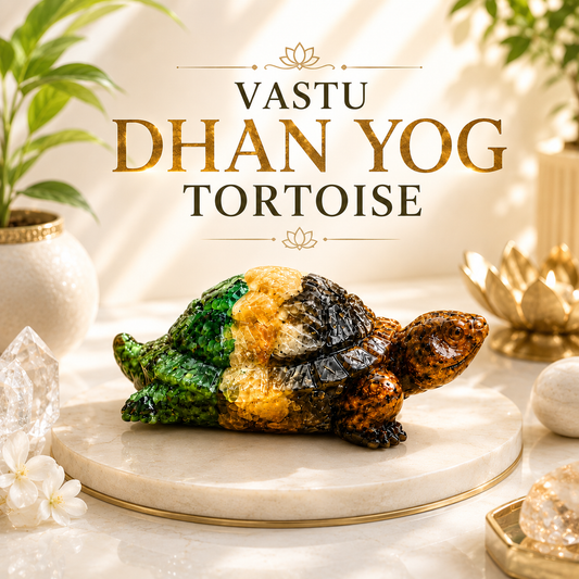 Vastu Dhan Yog Tortoise