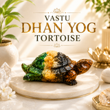 Vastu Dhan Yog Tortoise