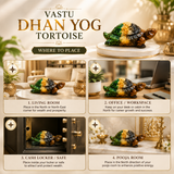 Vastu Dhan Yog Tortoise