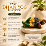 Vastu Dhan Yog Tortoise