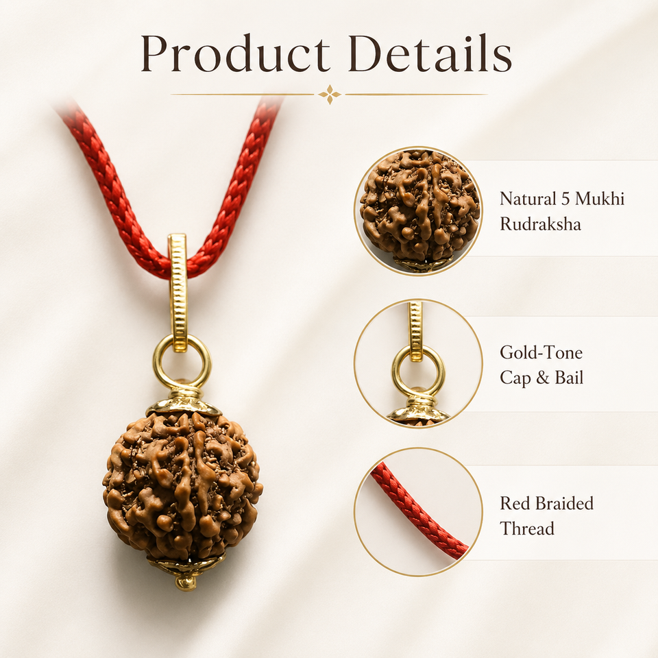 5 Mukhi Rudraksha pendant free