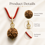 5 Mukhi Rudraksha pendant free