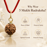 5 Mukhi Rudraksha pendant free