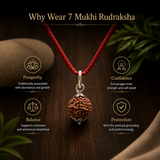 7 Mukhi Rudraksha Pendent