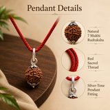 7 Mukhi Rudraksha Pendent