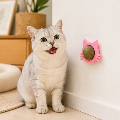 Catnip Wall Treat Ball for Cats (Pack of 2)