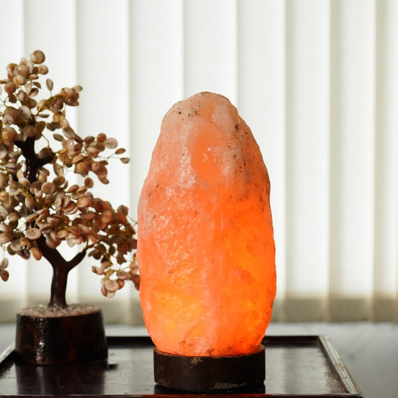 Himalayan Pink Salt Naturally Carved Glow Lamp