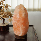 Himalayan Pink Salt Naturally Carved Glow Lamp