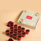 Sambrani Havan Cups Guggal Dhoop (Pack of 12)