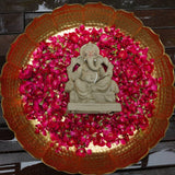 10INCH Lalbaugcha Raja Eco-Friendly Ganpati | Plant-A-Ganesha