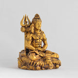 Shiv Dhyaanam God Idol