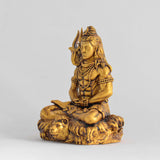 Shiv Dhyaanam