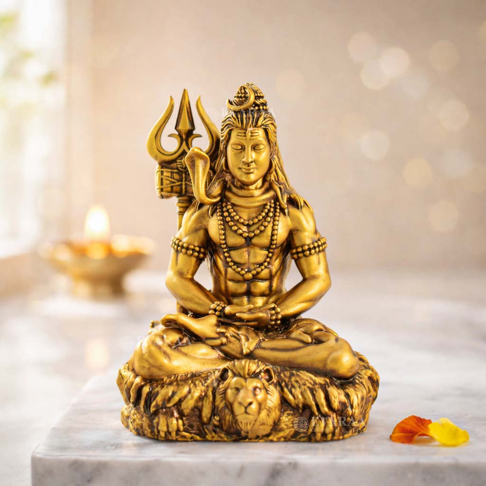 Shiv Dhyaanam