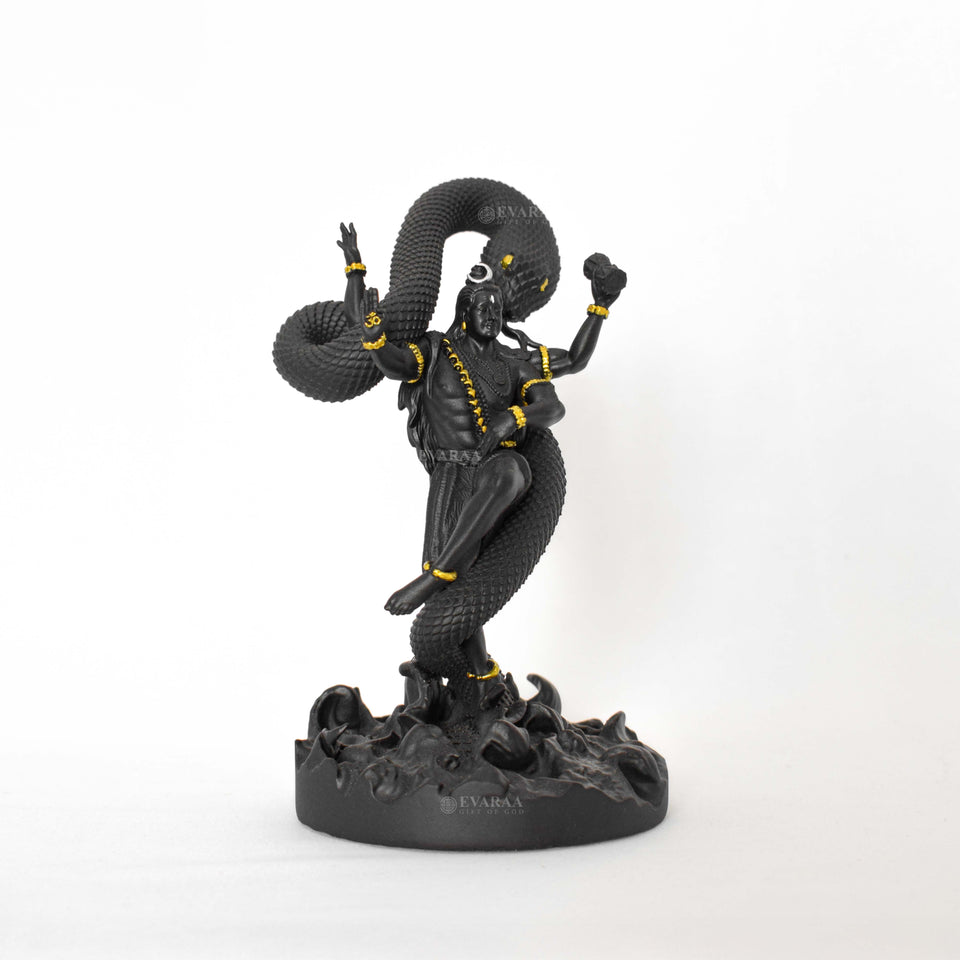 Mystical Shiva Black God Idol