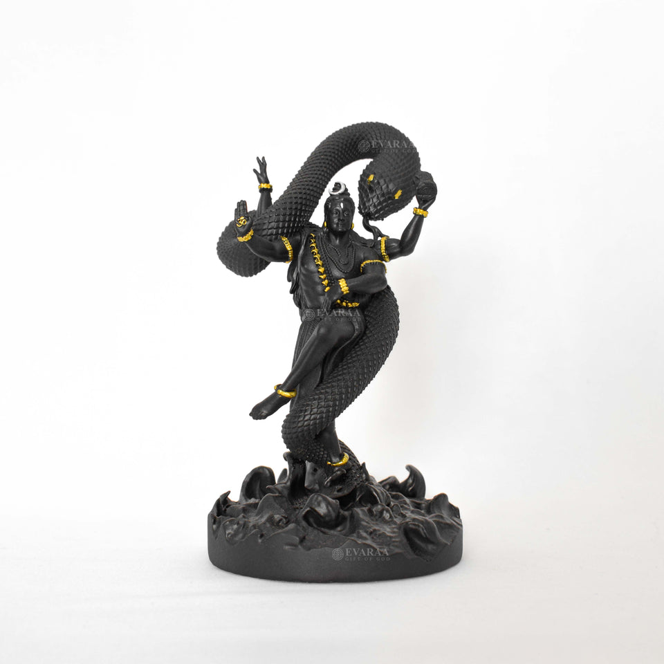 Mystical Shiva Black God Idol