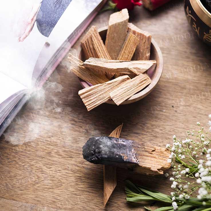Spiritual Palo Santo Sticks/Holy Woods
