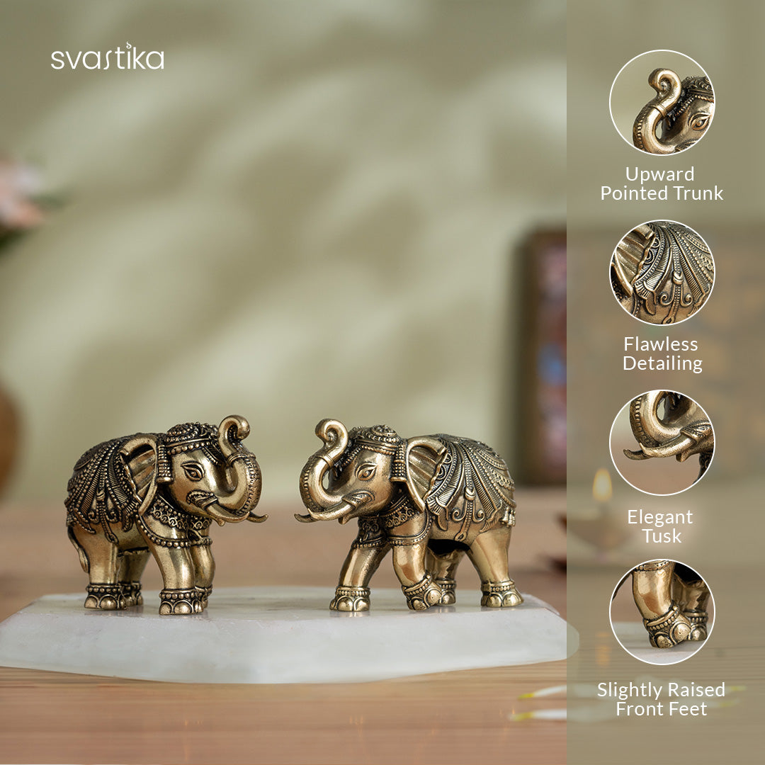 Brass Vastu Trunk Up Brass Elephant Statue Pair (2 Inch)