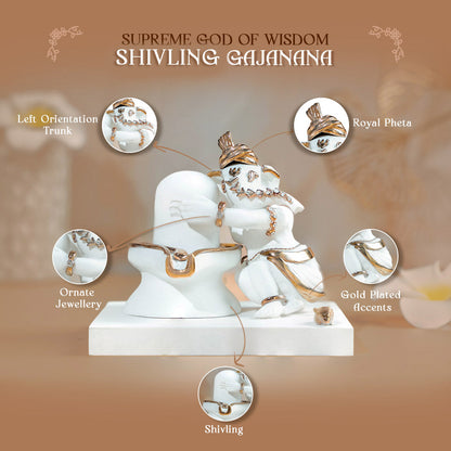 Gajanana Ganesh Idol in Shiv Bhakti