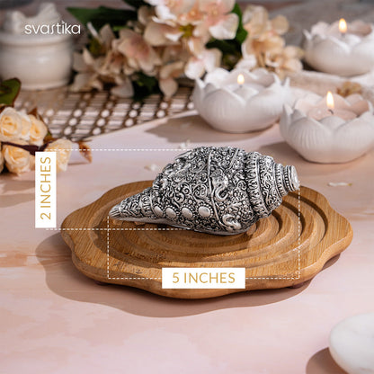 Ganesh Shankh (Conch) - Silver Plated (5 Inch)