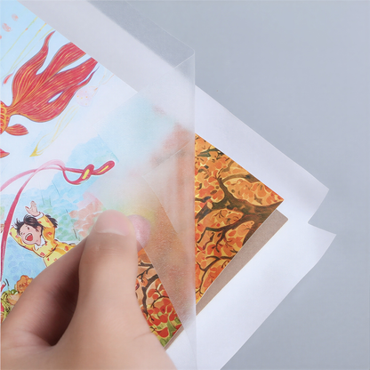 Transparent Book Cover