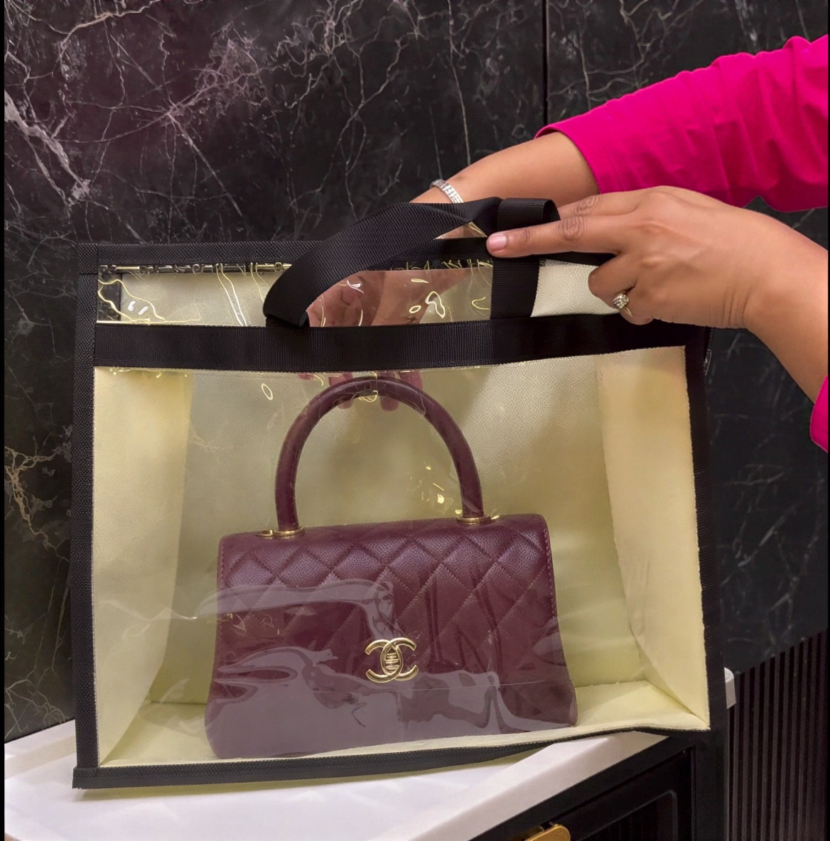 Transparent Storage Handbag