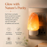 Natural Plug-In Himalayan Salt Lamp