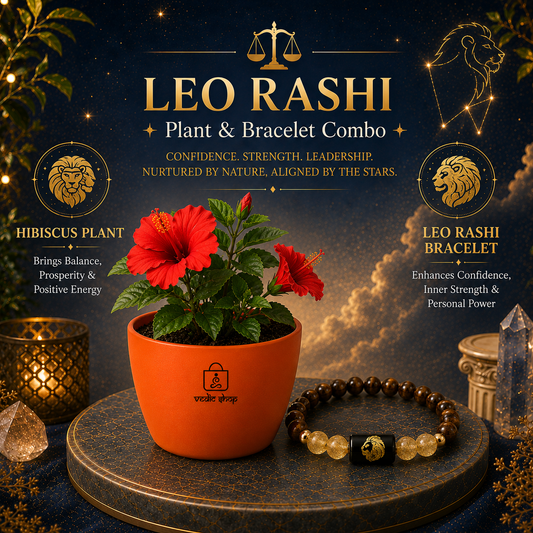 Leo Royal Energy Combo – Hibiscus Plant & Zodiac Bracelet