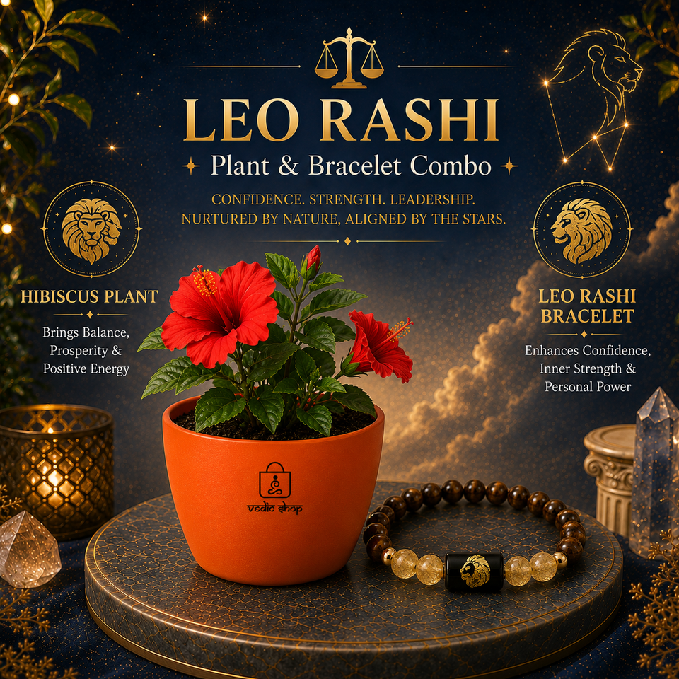 Leo Royal Energy Combo – Hibiscus Plant & Zodiac Bracelet