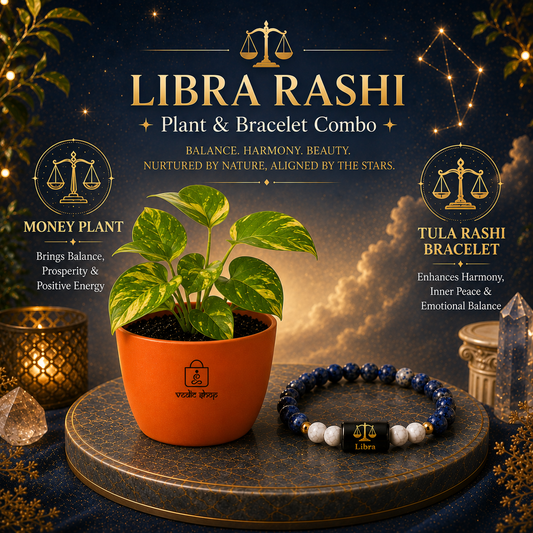 Libra Rashi Prosperity Combo – Money Plant & Zodiac Bracelet