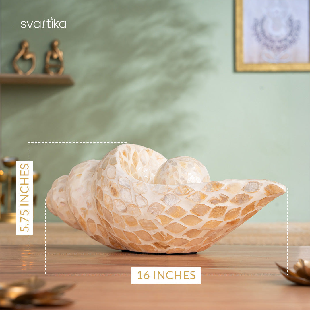Luxury Artistic Conch Shell for Home Decor