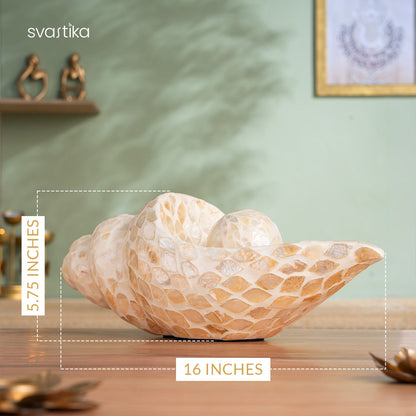 Luxury Artistic Conch Shell for Home Decor