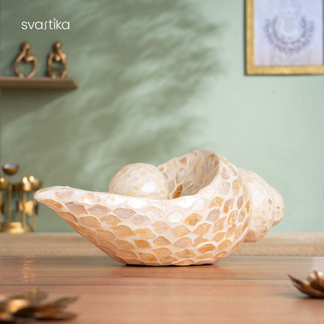 Luxury Artistic Conch Shell for Home Decor